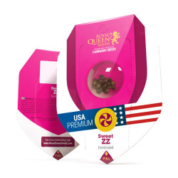 Sweet ZZ Royal Queen Seeds - 3 Seeds