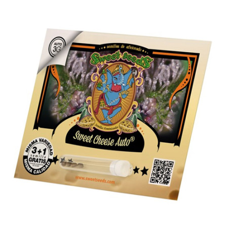 Sweet Cheese Auto® Sweet Seeds - 5 Seeds
