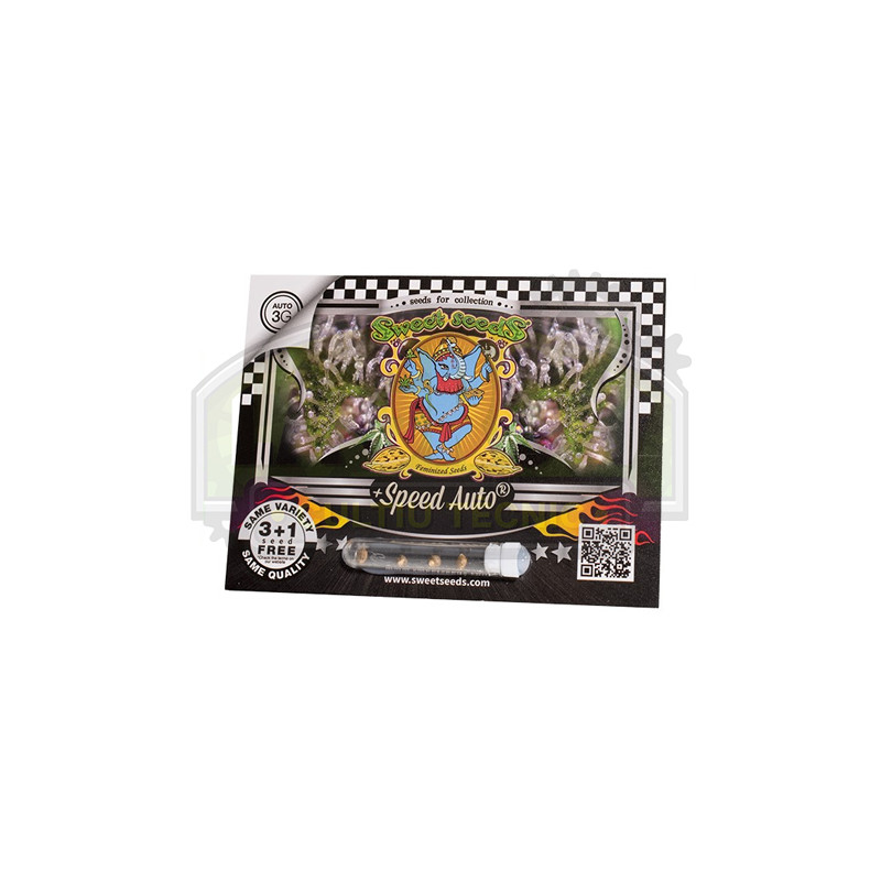 +Speed Auto Sweet Seeds - 5 Seeds