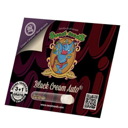 Black Cream Auto® Sweet Seeds - 5 Seeds