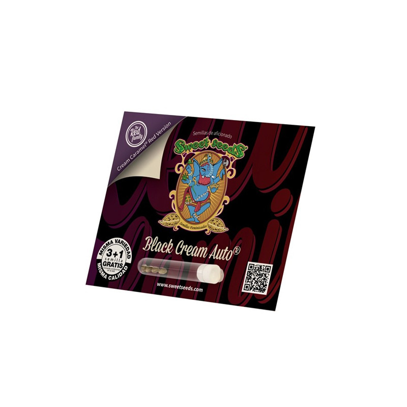 Black Cream Auto® Sweet Seeds - 5 Seeds