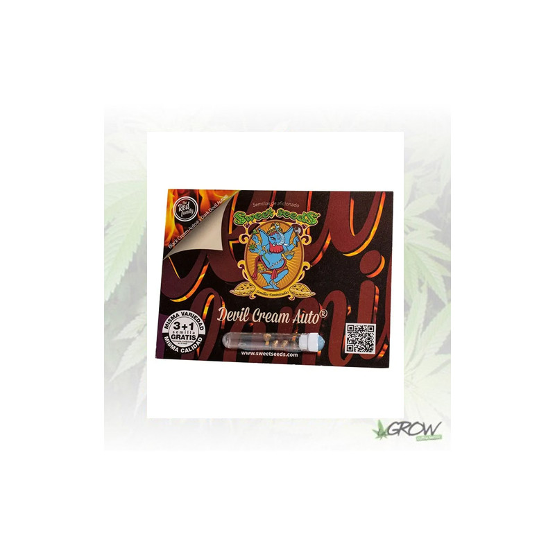 Devil Cream Auto® Sweet Seeds - 5 Seeds