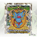 Sweet Mix Feminizadas Sweet Seeds - 10 Seeds