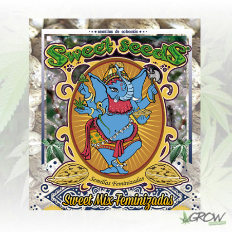 Sweet Mix Feminizadas Sweet Seeds - 10 Seeds