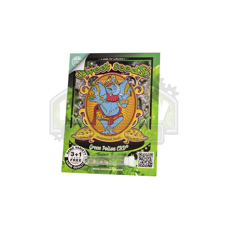 Green Poison CBD® Sweet Seeds - 5 Seeds