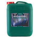 Rhizotonic XP Canna - 10L