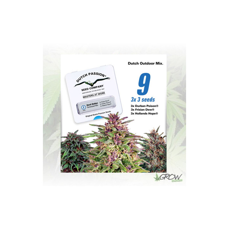 Dutch Outdoor Mix Dutch Passion - 9 Seeds