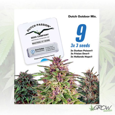 Dutch Outdoor Mix Dutch Passion - 9 Seeds