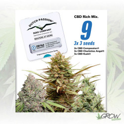 CBD Feminized Mix Dutch Passion - 9 Seeds
