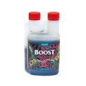 Canna Boost Accelerator Canna - 250ml