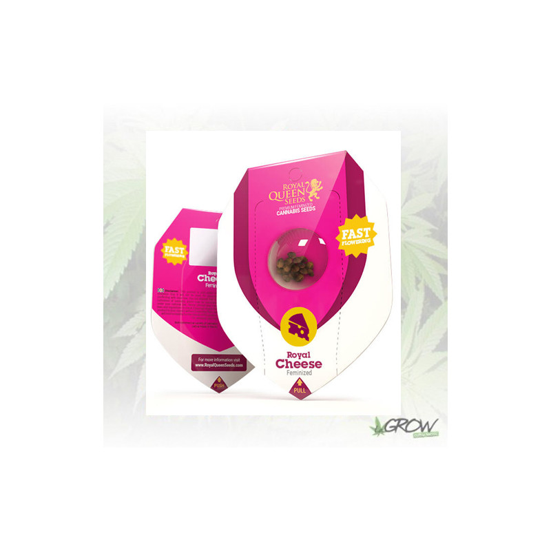 Royal Cheese FF Royal Queen Seeds - 10 Seeds