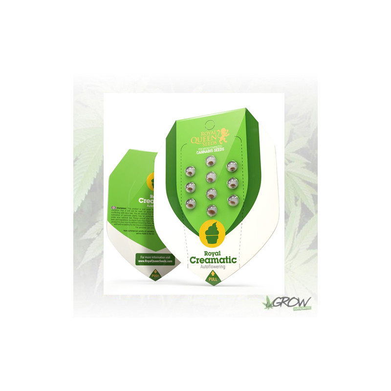 Royal Creamatic Auto Royal Queen Seeds - 3 Seeds