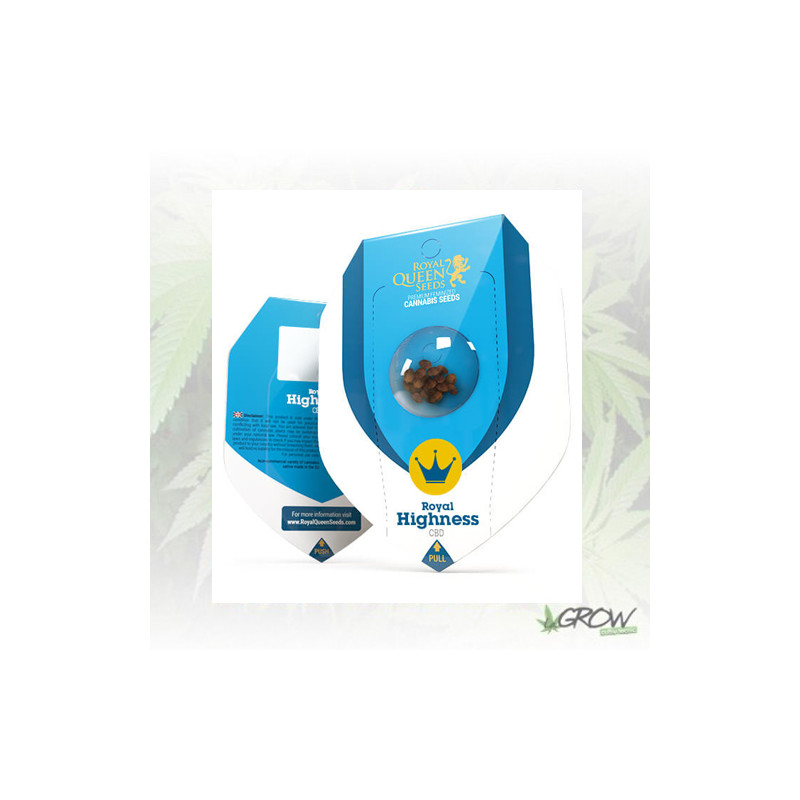 Royal Highness Royal Queen Seeds - 1 Seed
