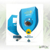 Royal Highness Royal Queen Seeds - 1 Seed