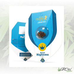 Royal Highness Royal Queen Seeds - 10 Seeds