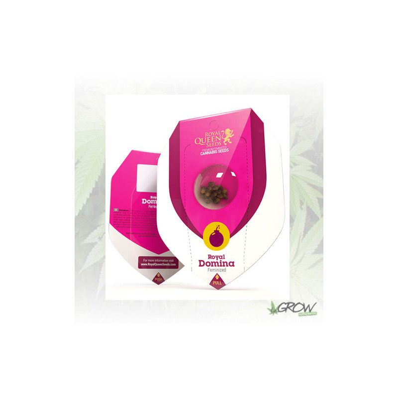 Royal Domina Royal Queen Seeds - 5 Seeds
