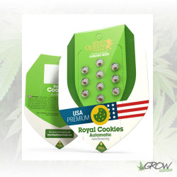 Royal Cookies Auto Royal Queen Seeds - 3 Seeds