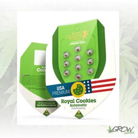 Royal Cookies Auto Royal Queen Seeds - 3 Seeds
