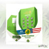 Royal Cookies Auto Royal Queen Seeds - 10 Seeds
