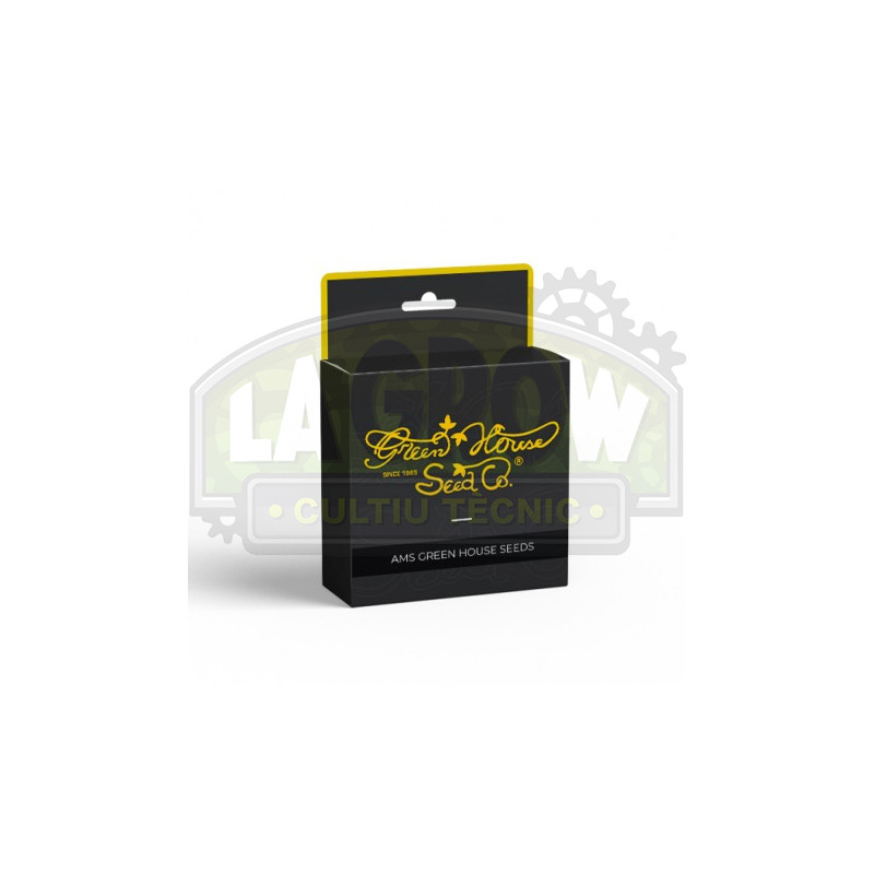 A.M.S Green House Seeds® - 5 Seeds