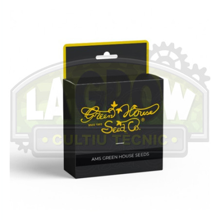 A.M.S Green House Seeds® - 5 Seeds