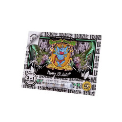 Runtz XL Auto Sweet Seeds - 3 Seeds