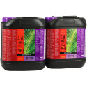 Coco A+B B'cuzz Atami - 5L