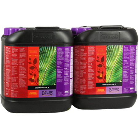 Coco A+B B'cuzz Atami - 5L