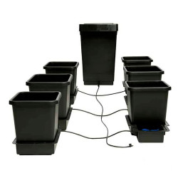 Sistema 6 Pot System Autopot™