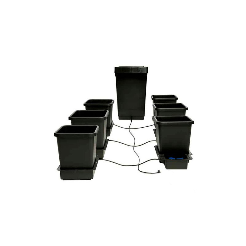 Sistema 6 Pot System Autopot™