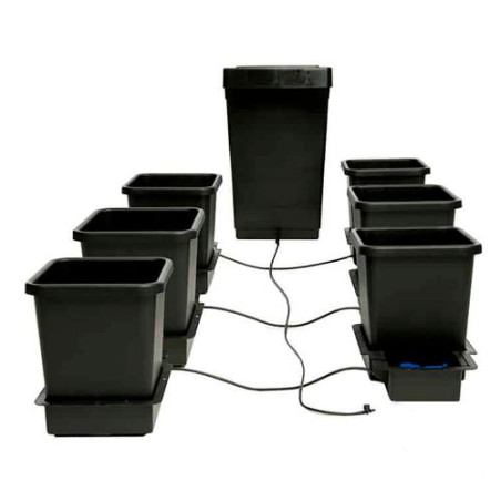 Sistema 6 Pot System Autopot™