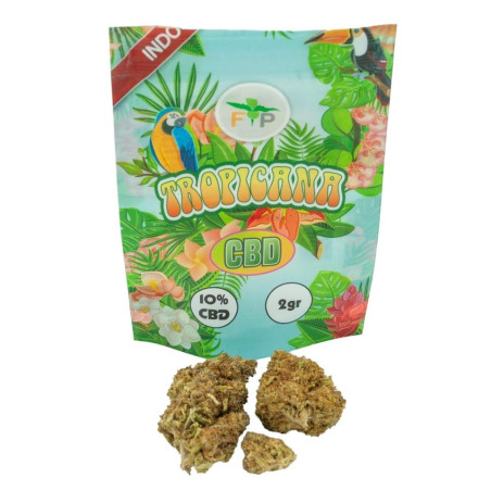 Flores CBD Tropicana FP - 2g