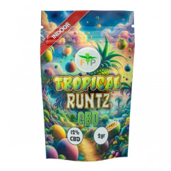 Flores CBD Tropical Runtz FP - 2g