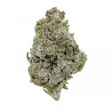 Flores CBD Og Kush Indoor - 2g