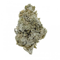 Flores CBD Og Kush Indoor - 2g