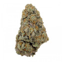 Flores CBD Gelato Cream Indoor Cali - 2g