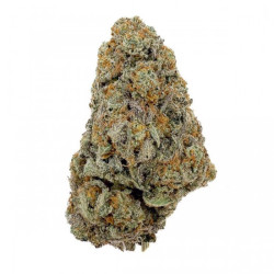 Flores CBD Gelato Cream Indoor Cali - 2g