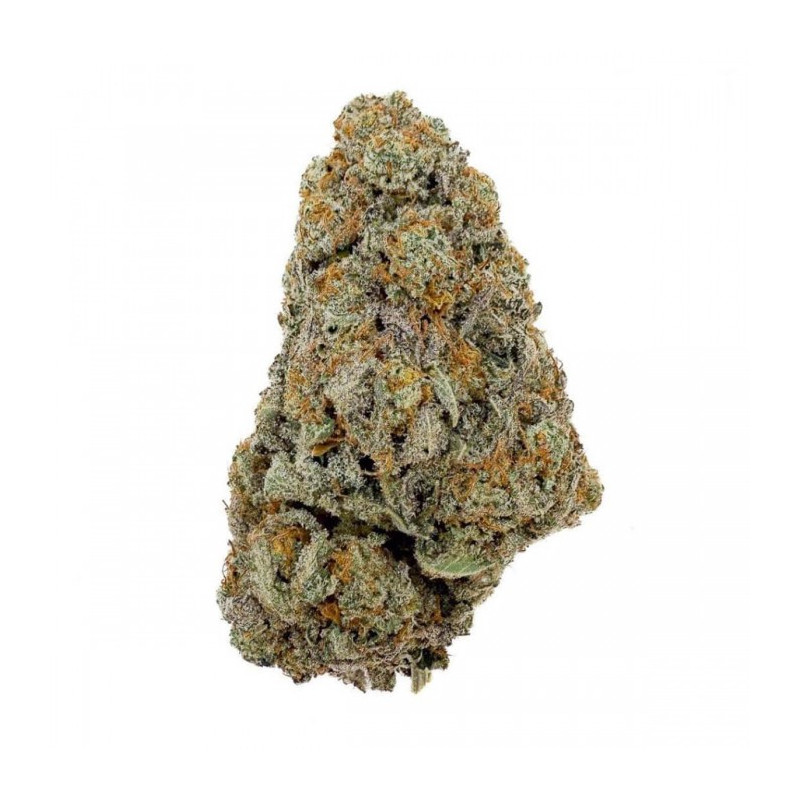 Flores CBD Gelato Cream Indoor Cali - 2g