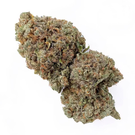 Flores CBD Critical + Indoor Hydro - 2g