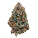 Flores CBD Purple Runtz Indoor Cali - 2g