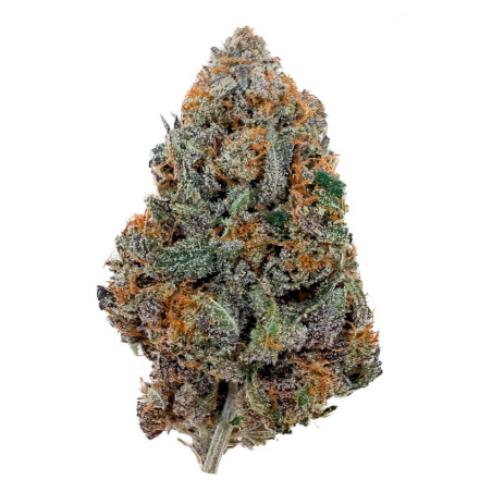 Flores CBD Purple Runtz Indoor Cali - 2g