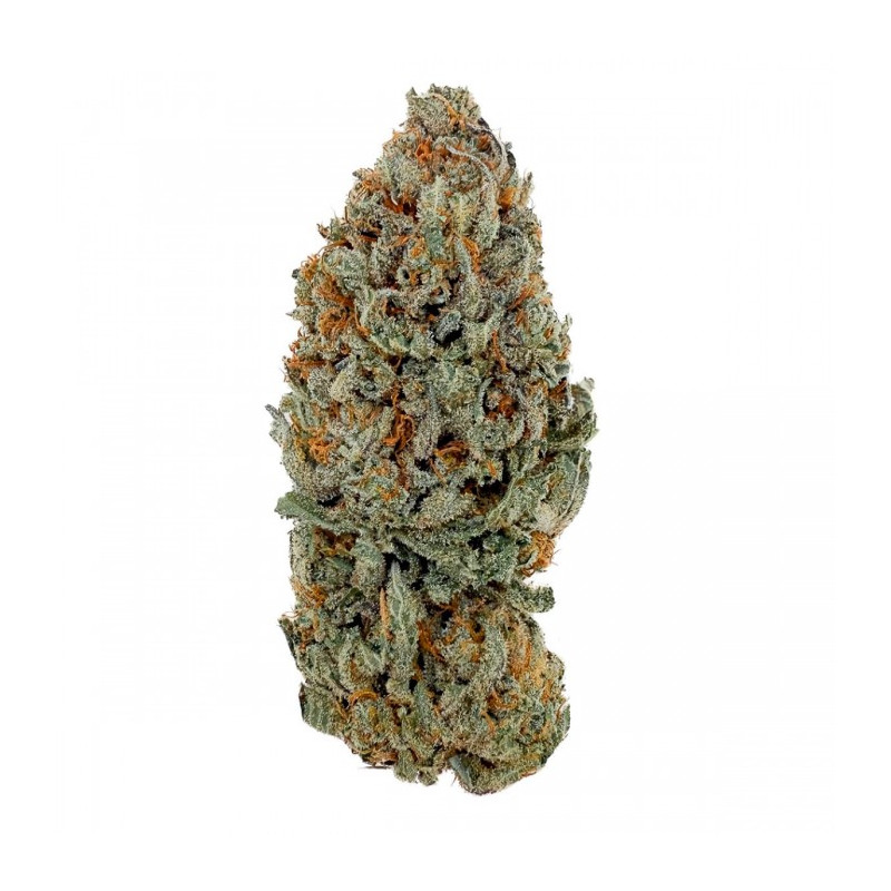 Flores CBD Sour Diesel Indoor Cali - 2g