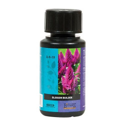 Blossom Builder B'Cuzz Atami - 250ml