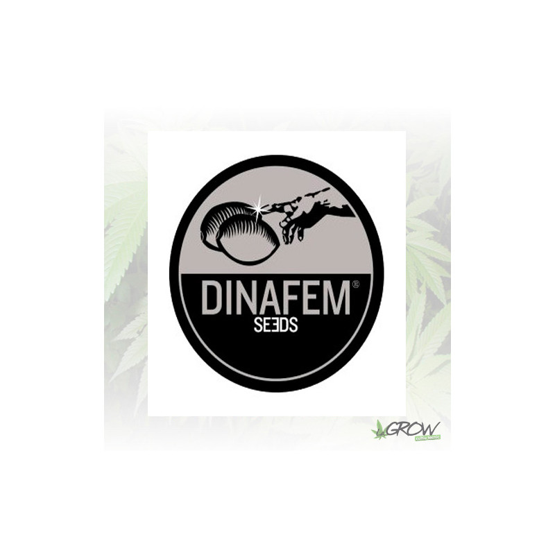 Dinafem Mix - 5 Seeds