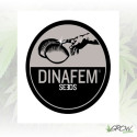 Edición Coleccionista nº4 Dinafem