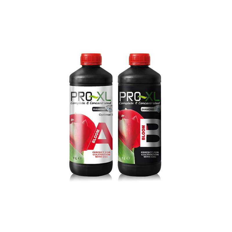 Bloom A+B Pro-XL - 1L