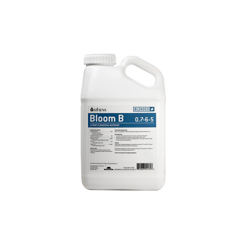 Bloom B Athena - 3,78L