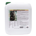 Bachumus Ecohemp-F Trabe - 5L