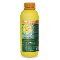 Bachumus Evolution-F Trabe - 500ml