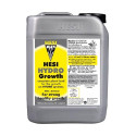Hidro Crecimiento Hesi - 5L